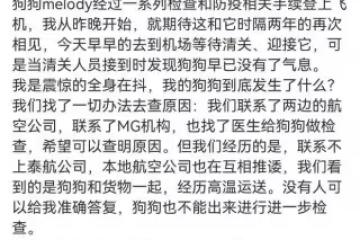 女歌手狗狗託運莫名死亡！航空公司相互推諉，雙手顫抖求給個結果