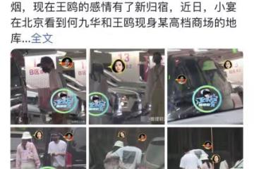 王鷗何九華姐弟戀添實錘!兩人現身酒店親密摟抱,女方甜蜜秀恩愛