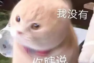 5去到茶樓必點！在家幾步做好，又酥又糯香絕了！