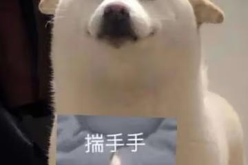奶茶店20一杯，在家做，3塊錢吃撐！Q彈軟糯，一卷搞定~