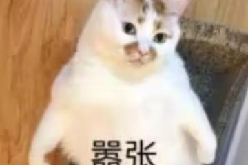 奶茶都給我靠邊站!這一袋才是yyds,隨手一攪0難度!