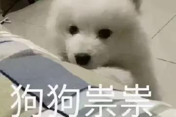 別去買路邊攤,自己做Q彈清爽,一拌就搞定!