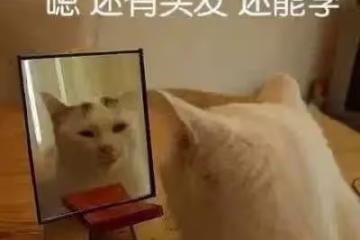 剛從私房學來的配方!賣爆了一萬盒,香到舔勺子!