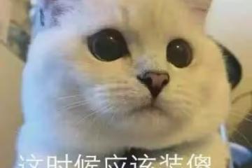情人節送這口更特別!口口絲滑,沒有女生不愛它!