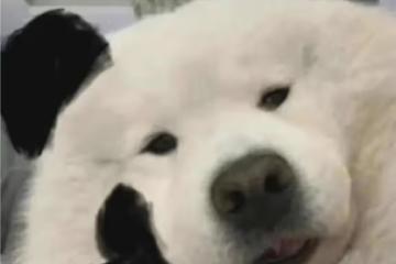 假期最愛吃這口！一揉就成，0糖0油，多吃也不怕胖！