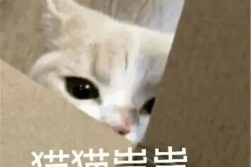 夜宵攤老闆問我要秘方！其實一攪就能成，香到炸！