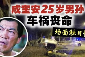 「大傻」成奎安的家庭悲劇：三兄弟同一年去世，25歲孫子車禍身亡