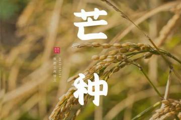 明日芒種，記得多吃「2紅2綠」，少食2樣，應季而食，平安度夏