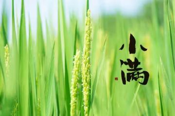 進入小滿,有錢沒錢,記得「2多吃3多喝」,補充陽氣,平安過夏天
