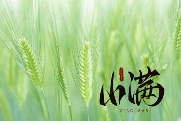 明日小滿，記得「食1味，飲2茶，吃3寶」，應季而食，安然度夏