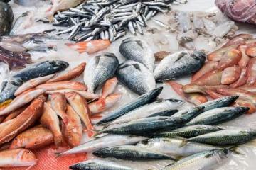 夏天吃魚，專挑這6種海魚，營養肥美又少刺，魚販子都誇你是行家