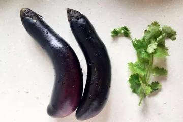 10道茄子食譜：經典家常菜，絕對的下飯神器，簡單易學又好吃