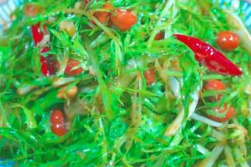 夏季吃點苦味菜對身體大有裨益，去火消暑，健脾祛濕，輕鬆度夏