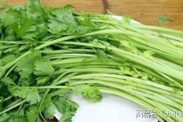 分享三種高鉀低鈉的蔬菜,夏天隔三岔五吃一吃,對身體很有好處