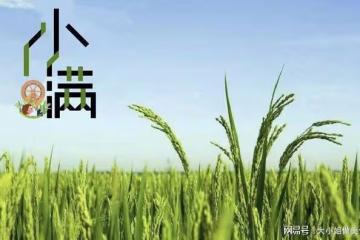 「小滿將至,吃苦為宜」,多吃三種苦味食物,順時而食,安穩度夏