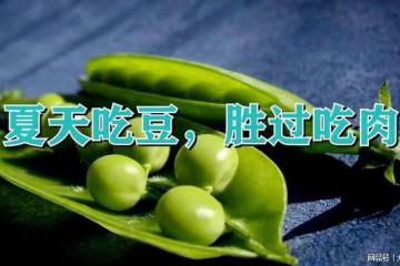 立夏之後,常吃這七種豆,高鉀高蛋白,利水祛濕,助我們順利度夏