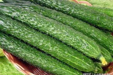 立夏過後,三種綠色蔬菜,清熱去火,有助於平心靜氣,健康過夏天
