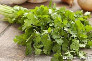今天是「世界討厭香菜日」，有愛吃香菜的嗎？經典吃法，永不過時