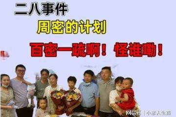 二八事件，周密的計劃，百密一疏啊！