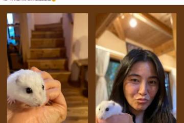 48歲蒙嘉慧移居日本，獨自生活想養倉鼠消遣，鄭伊健忙拍戲未同行