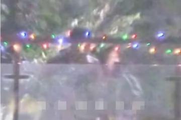 歐陽娜娜深夜與男子玩滑板，親自護送她回家，互相挽手舉止親密
