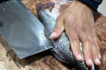 三伏將至，要懂得忌嘴，牢記「食2肉吃3菜忌2樣」，為入伏做準備