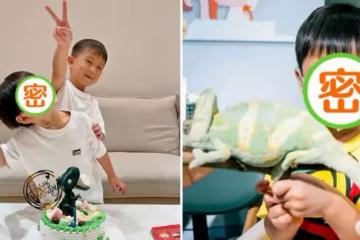 胡杏兒二兒子3歲了！奕霖「把蛇掛脖子+摸蜘蛛蜥蜴」膽子超大，對鏡燦笑「五官」更像媽媽