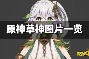 原神草神圖片一覽 草神圖片曝光