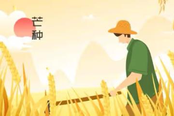 最適合夏天喝的5種家常湯，清爽好喝不上火，有空就給家人做