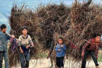為愛情離家出走，繼母每月給我一千，五年後回老家，院中雜草叢生