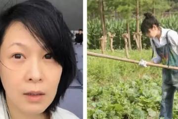 奪影后卻超窮!劉若英「掃廁所換房租」靠標會維生 如今「回歸田園種菜」樂當農民:學會放下
