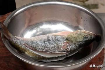 最適合男人吃的水產品排行榜,泥鰍排第二,鱔魚排第四,建議了解