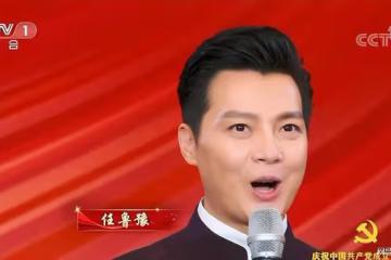 任魯豫:帶傷到一線,脊柱摔傷25天還未愈就戴著護具主持七一晚會
