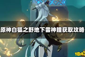 原神白狐之野地下雷神瞳獲取攻略