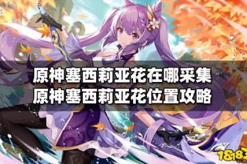 原神塞西莉亞花在哪採集 原神塞西莉亞花位置攻略