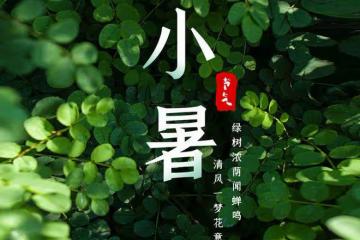 明日小暑,記得吃3寶,喝3茶,忌3事,調整飲食,三伏天順利過