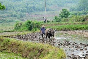 侄女滿月我給三萬，半月後侄女住院我又給八萬，哥嫂把侄女送給我