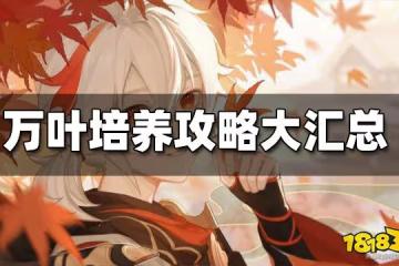 原神萬葉培養攻略大匯總 萬葉培養攻略合集