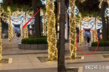 朱單偉帶陳萌散步主動拎包，大衣哥為準兒媳設計油畫