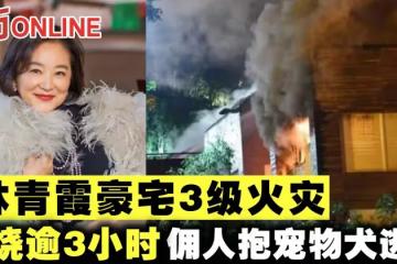 林青霞6.2億豪宅凌晨失火 傭人抱寵物犬逃生