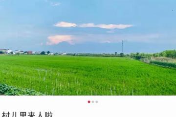 朱亞文嬌妻現身農村，在田野漫步太接地氣，日常樸素到用4元發圈