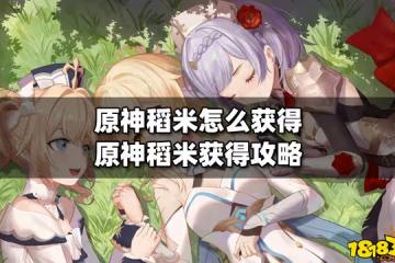原神稻米怎麼獲得 原神稻米獲得攻略