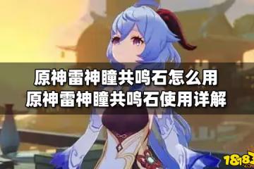 原神雷神瞳共鳴石怎麼用 原神雷神瞳共鳴石使用詳解