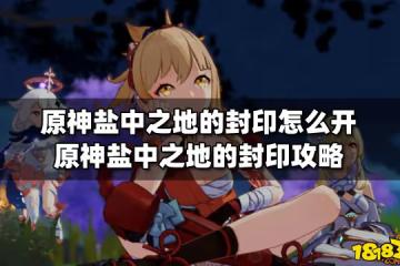 原神鹽中之地的封印怎麼開 原神鹽中之地的封印攻略