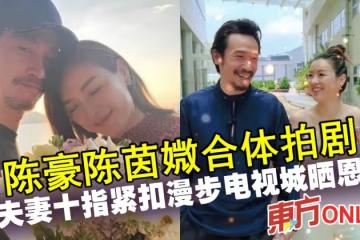 陳豪陳茵媺合體拍劇 兩夫妻十指緊扣漫步電視城曬恩愛