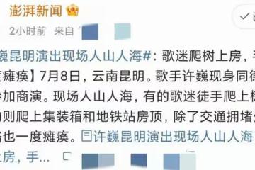 許巍昆明開露天演唱會,歌迷爬樹上房觀看,更有網友稱看了想辭職