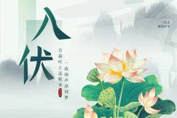 三伏天將至，濕熱難耐，這6種瓜要常吃，祛濕解暑，健康過一夏