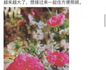 張藝謀愛妻回應急售無錫別墅！承認諮詢中介，賣房原因和家庭有關