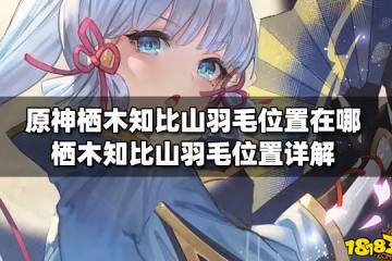 原神棲木知比山羽毛位置在哪 棲木知比山羽毛位置詳解