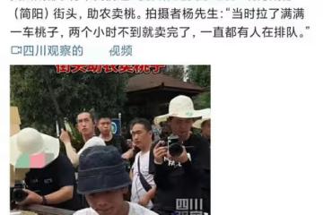 王冰冰丁真街頭賣桃,席地而坐汗直流,每人限購五個兩小時全賣光